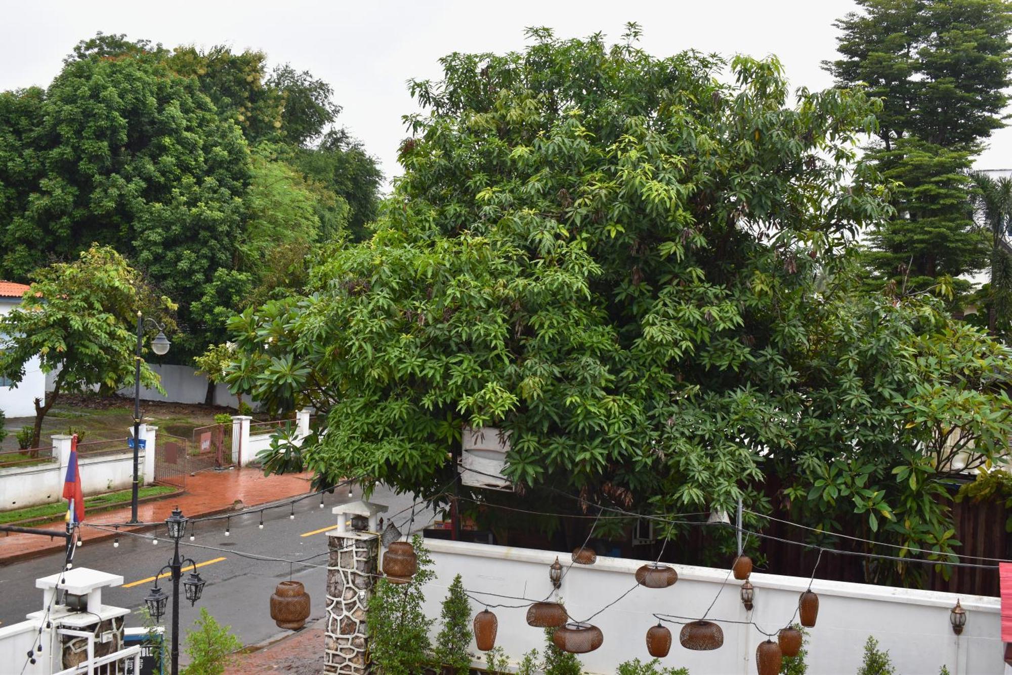 Monsane Villa Luang Prabang Buitenkant foto
